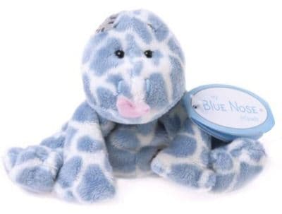 No 75 Gossip the Lizard 4