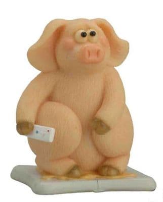 Piggin Collectors Resin Figurine Wii to Excited