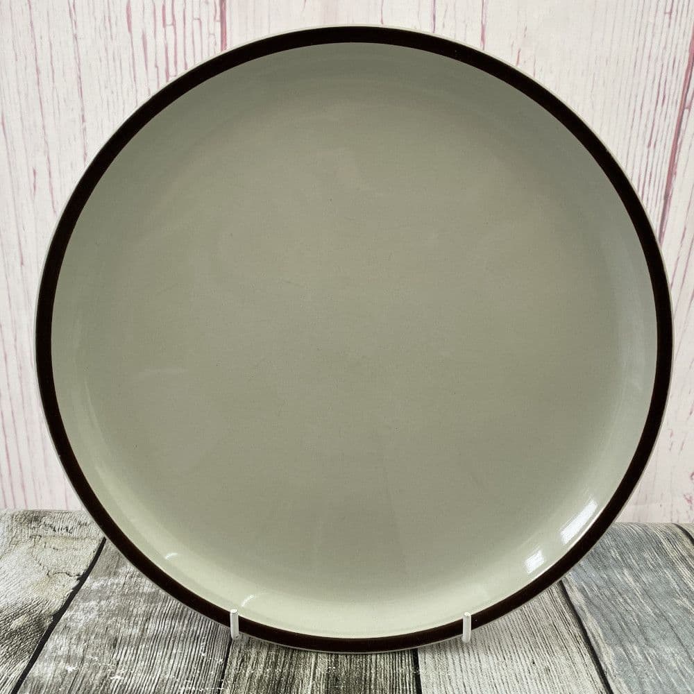 DENBY POTTERY ENCORE DINNER PLATES