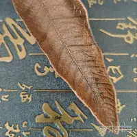 Bodhi Leaf Incense Holder –Red Copper Metal Burner Decoration for Sticks & Cones