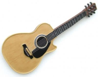 Acoustic Guitar Wall Art by HH