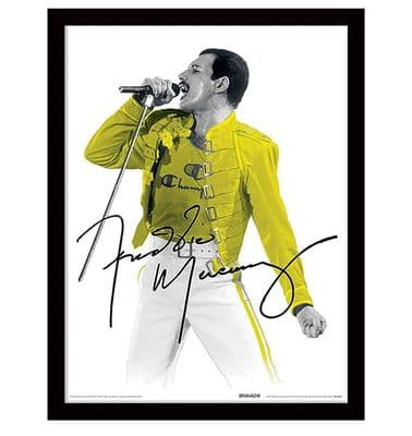 Freddie Mercury (Yellow Jacket) Framed Print
