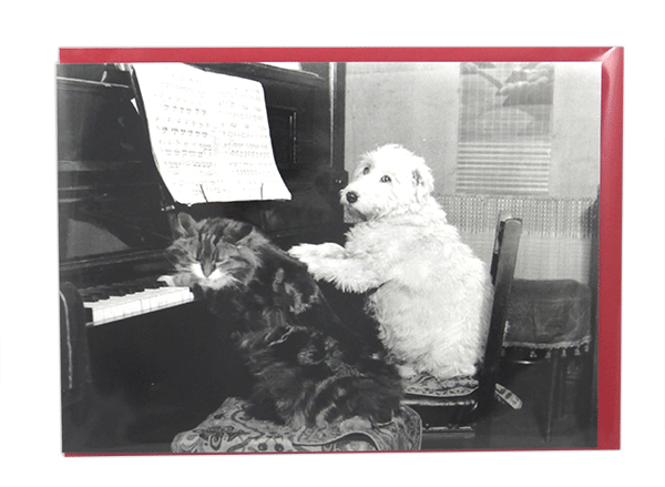 Greetings Card - Cat & Dog - 