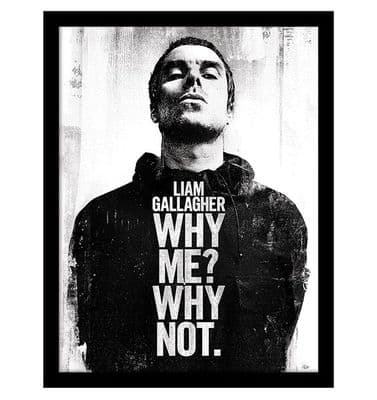 Liam Gallagher (Why Me? Why Not) Framed Print
