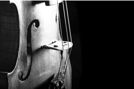 Violin Greetings Card - Music Greeting Card | musical gifts online