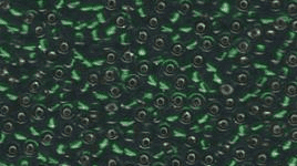 0017 SEED BEADS 11/0 EMERALD SILVER LINED