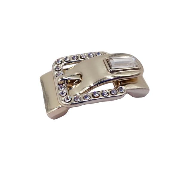 Buckle, gold and crystal clasp