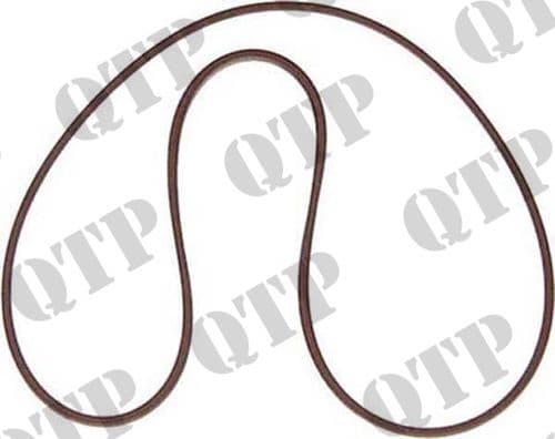 Brake Disc O Ring Ford 60 TM M Fiat F's Small