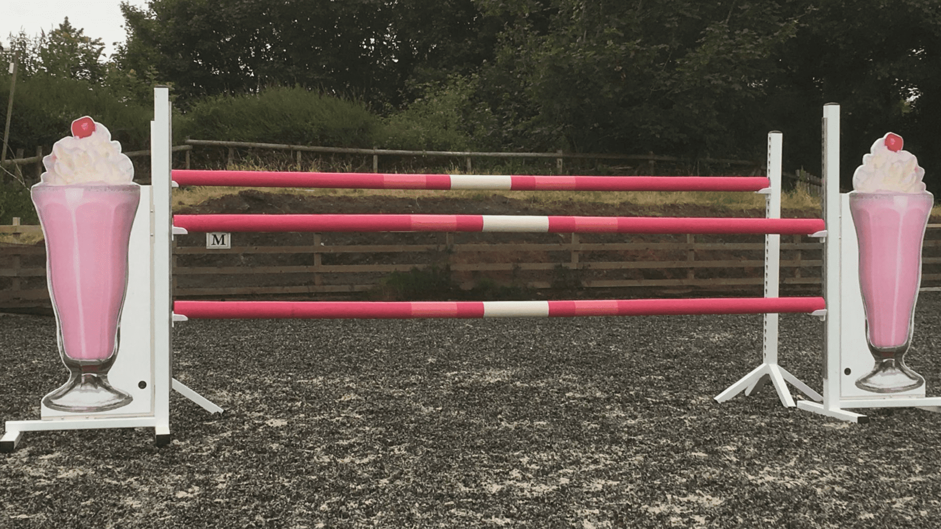 Ice Cream Sundae Show Jump wings & poles