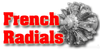 French Radial Engines