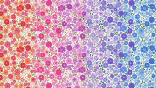 9656 - Boho Blooms - Multicolour Ombre - Lewis & Irene - L13 - Cotton Fabric