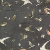 Botanicals - 7845 - Janet Clare - British Birds on Charcoal - Moda 16910.16 - Cotton Fabric
