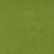 CW-V001 - Green Thatch - Robin Pickens - Moda 48626.197 - Cotton Fabric