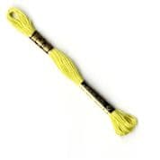 DMC 6-Strand Embroidery Thread - 0165