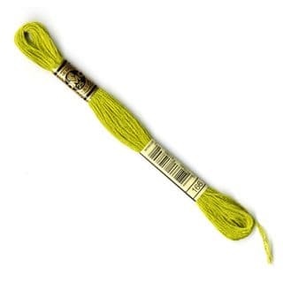 DMC 6-Strand Embroidery Thread - 0166