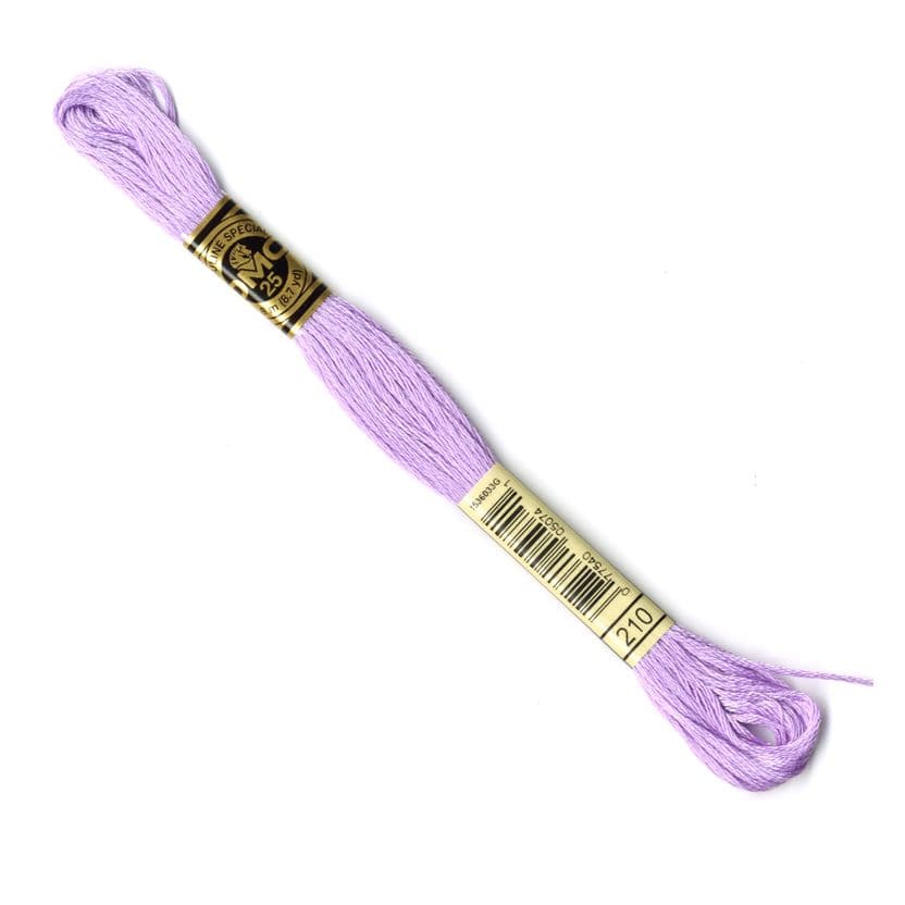 DMC 6-Strand Embroidery Thread - 0210
