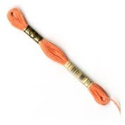 DMC 6-Strand Embroidery Thread - 0352