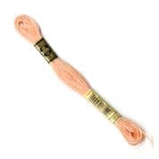 DMC 6-Strand Embroidery Thread - 0353