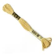 DMC 6-Strand Embroidery Thread - 0422