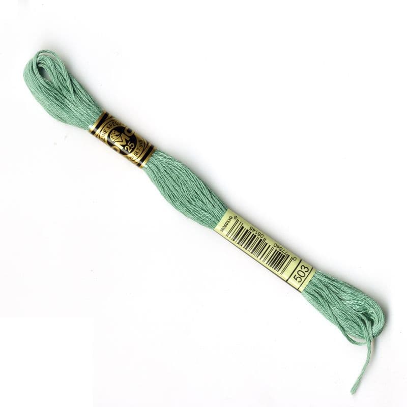 DMC 6-Strand Embroidery Thread - 0503