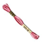 DMC 6 Strand Floss - Col 0099 (Ombre)