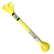 DMC Satin Effect - 6 Strand Floss - S307