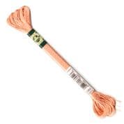 DMC Satin Effect - 6 Strand Floss - S352