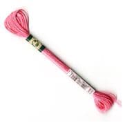 DMC Satin Effect - 6 Strand Floss - S899