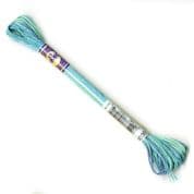 DMC Variegated - 6 Strand Floss - 4030