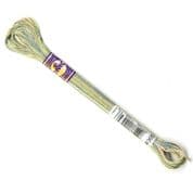 DMC Variegated - 6 Strand Floss - 4065