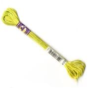 DMC Variegated - 6 Strand Floss - 4070