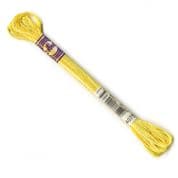 DMC Variegated - 6 Strand Floss - 4075