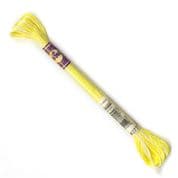 DMC Variegated - 6 Strand Floss - 4077