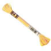DMC Variegated - 6 Strand Floss - 4100
