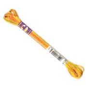 DMC Variegated - 6 Strand Floss - 4126