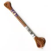 DMC Variegated - 6 Strand Floss - 4140