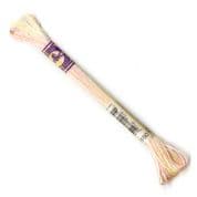 DMC Variegated - 6 Strand Floss - 4160