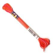 DMC Variegated - 6 Strand Floss - 4200