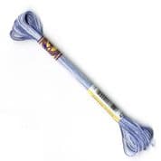 DMC Variegated - 6 Strand Floss - 4235