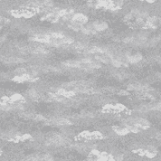 Lewis & Irene Dreams - 8773 - Grey Clouds - D19 - Cotton Fabric