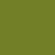 Makower Spectrum - G25 - Avocado - Solid Plain Cotton Fabric