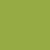 Makower Spectrum - G66 - Pistachio - Solid Plain Cotton Fabric (5)