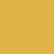 Makower Spectrum - Y27 - Mustard - Solid Plain Cotton Fabric