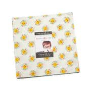 Rainbow Garden Layer Cake by Abi Hall