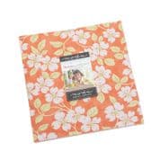 Strawberries and Rhubarb Layer Cake