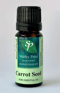 Carrot seed (Daucus carota) -10ml Pure Essential Oil Sale