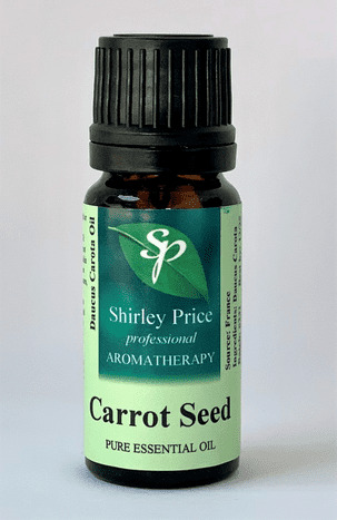 Carrot seed (Daucus carota) -10ml Pure Essential Oil Sale