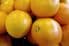 Grapefruit (Citrus paradisi) 30ml