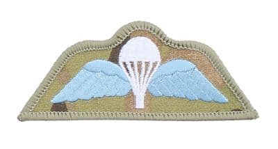 Blue and White on MTP Para Wings