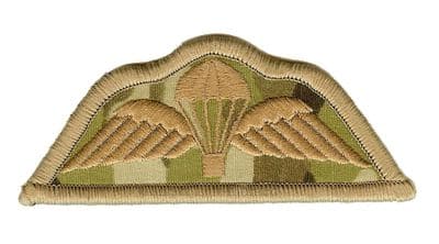 Bronze On MTP Para Wings